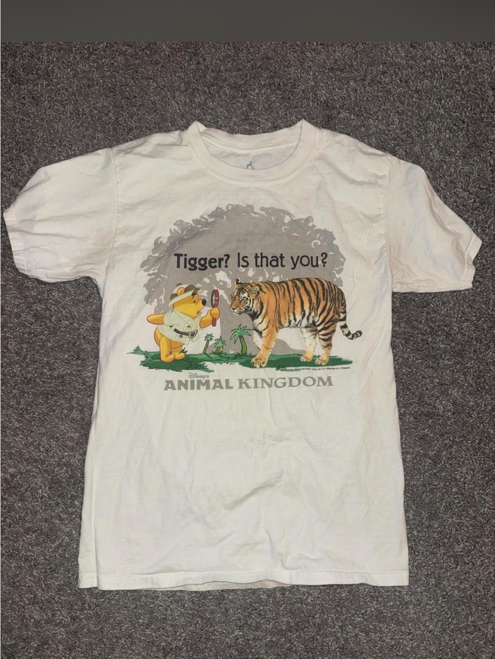 Disney Animal Kingdom Graphic